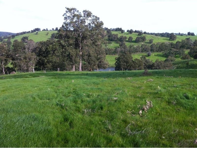 816 Burney Road, Yarloop WA 6218
