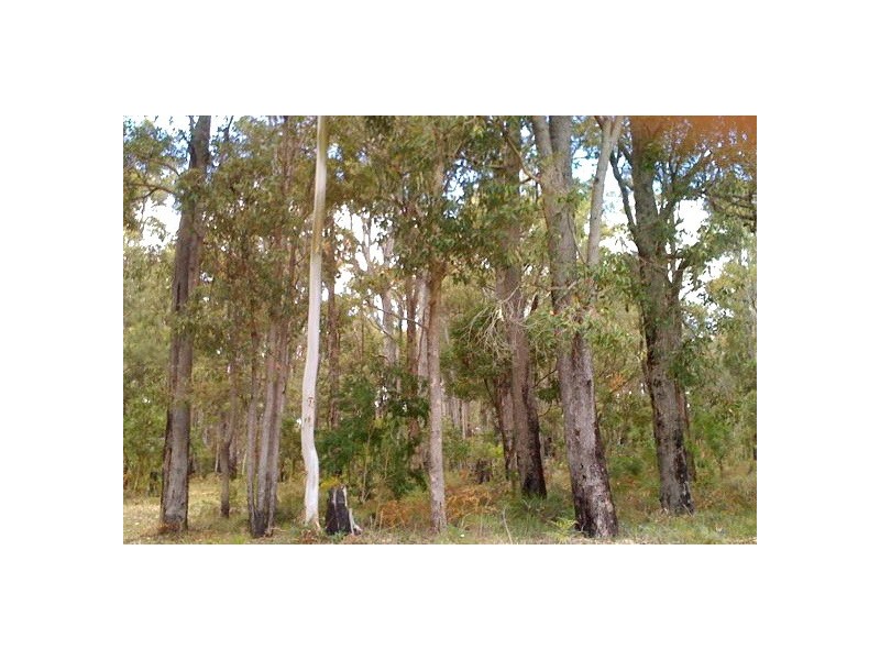 5 Forestview Road, Dwellingup WA 6213