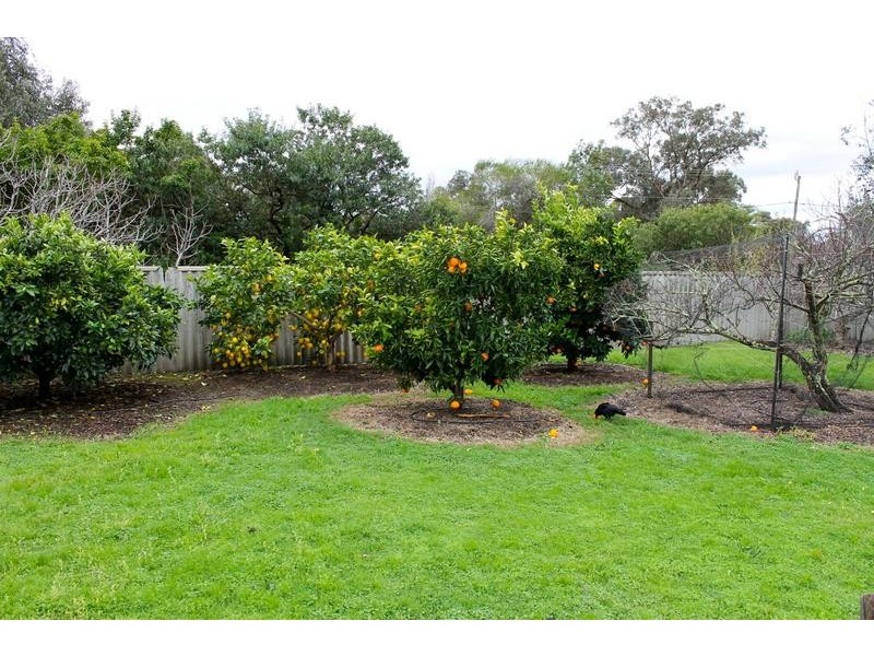 7 Salter Street, Pinjarra WA 6208