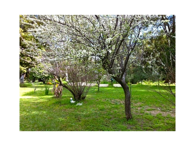 130 Clifton Road, Yarloop WA 6218