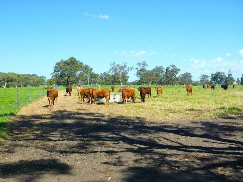 Lot 6 South West Highway, Coolup WA 6214