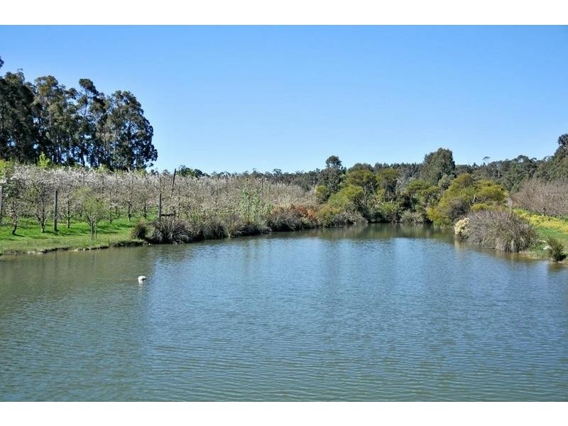 281 Newton Street, Dwellingup WA 6213