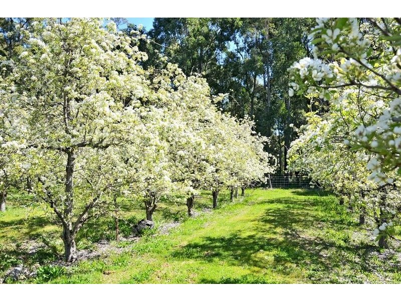 281 Newton Street, Dwellingup WA 6213