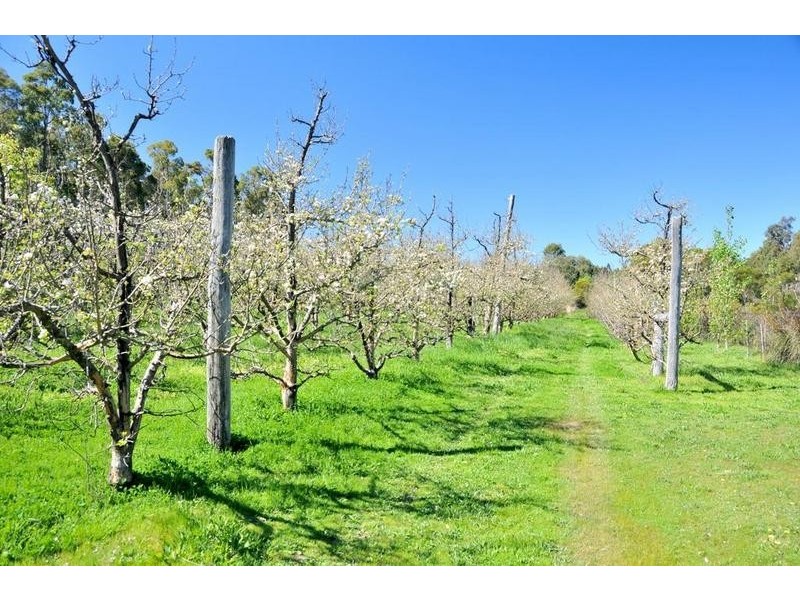 281 Newton Street, Dwellingup WA 6213