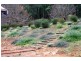 Lot 1403 River Road, Dwellingup WA 6213