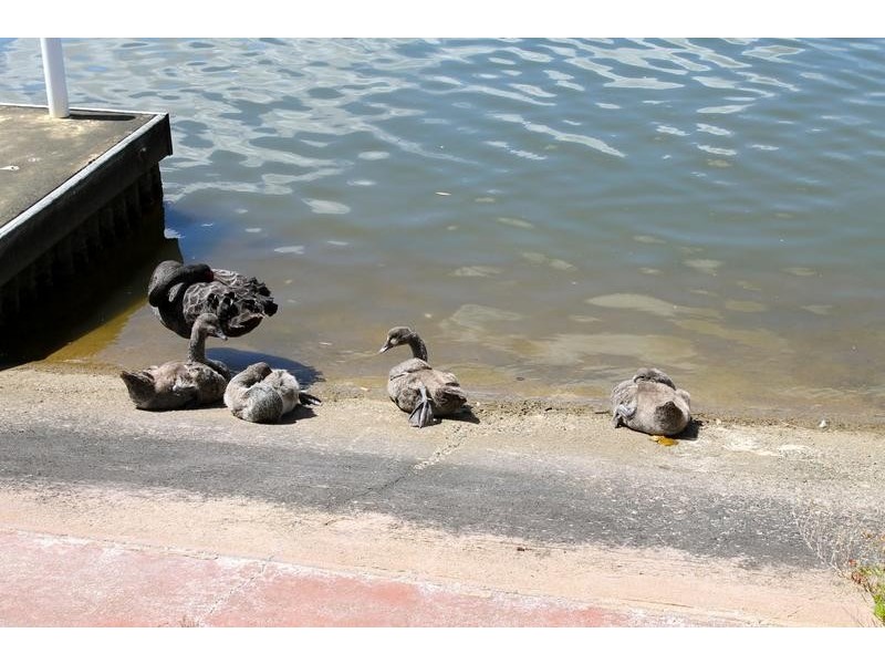 27 Allambi Way, South Yunderup WA 6208