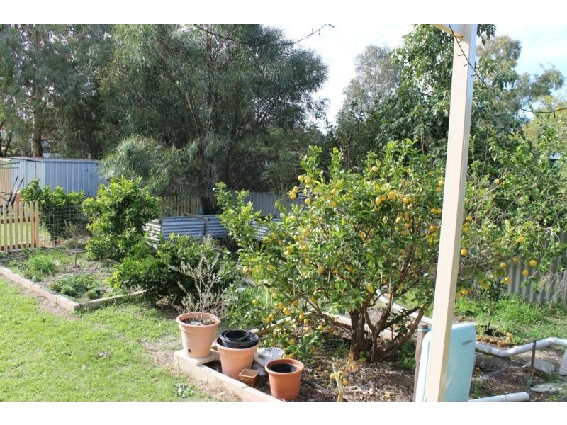 10 Jubilee Drive, Pinjarra WA 6208