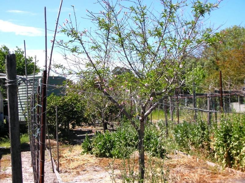 170 SOUTH WEST HWY, Waroona WA 6215