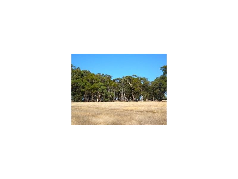 89 Redgum Court, Wandering WA 6308