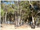 89 Redgum Court, Wandering WA 6308
