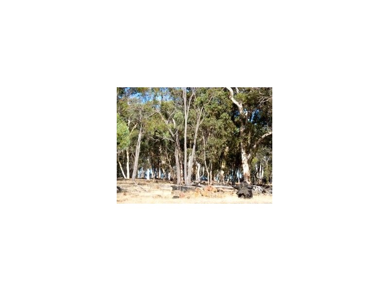 89 Redgum Court, Wandering WA 6308