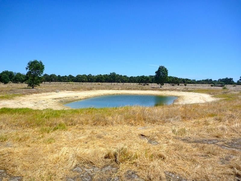 541 Readheads Road, North Dandalup WA 6207