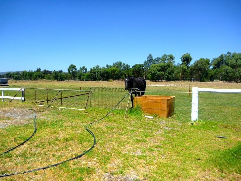 541 Readheads Road, North Dandalup WA 6207