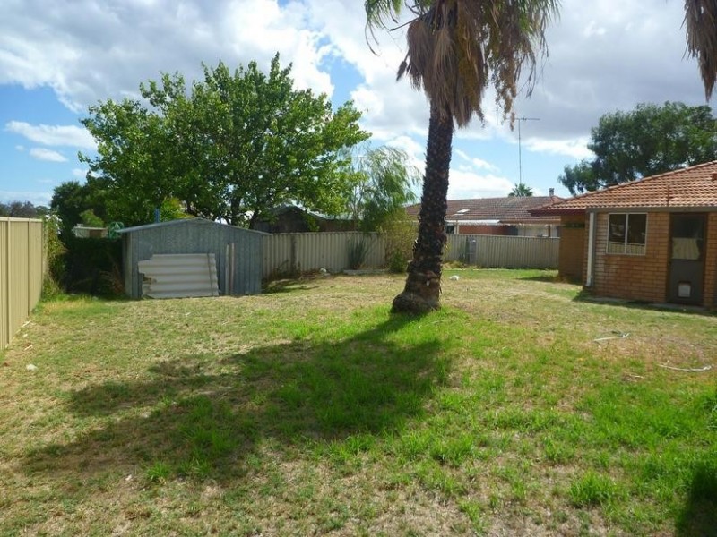 8 Osmunda Place, Pinjarra WA 6208