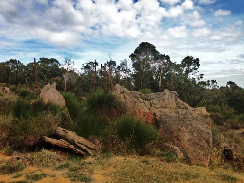 42 Forrington Heights, Waroona WA 6215