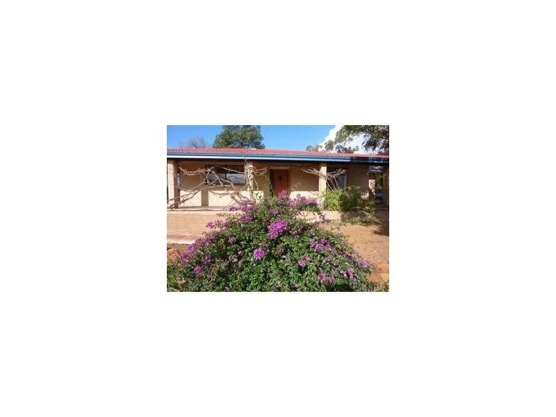 19 Hotham Avenue, Boddington WA 6390