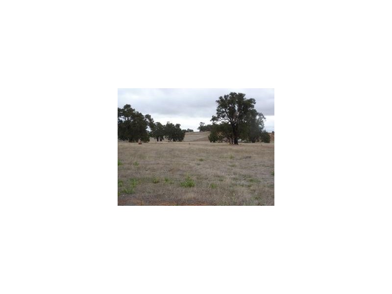 13 CHARLTON STREET, Wandering WA 6308