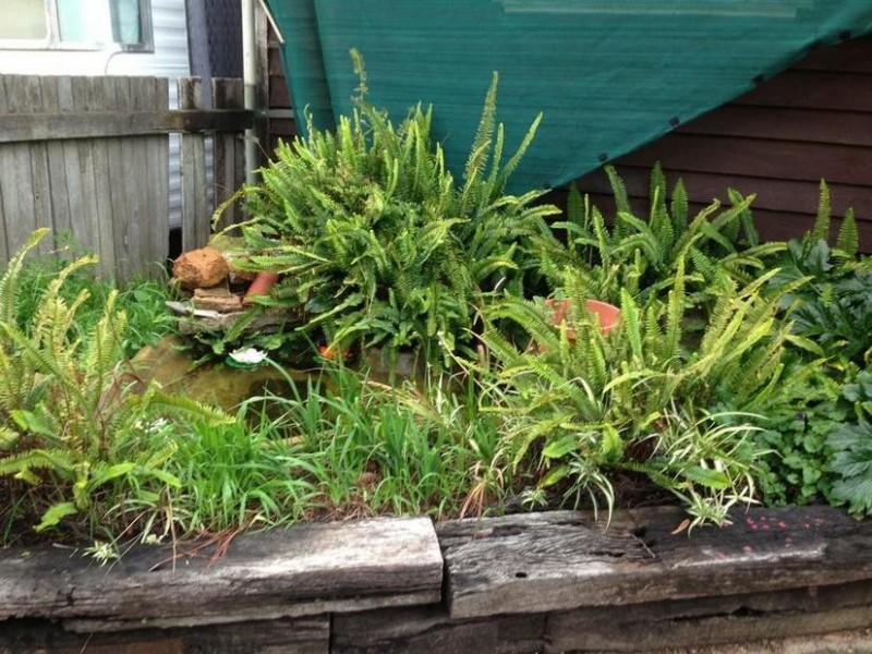 23 Grevillia Road, Dwellingup WA 6213