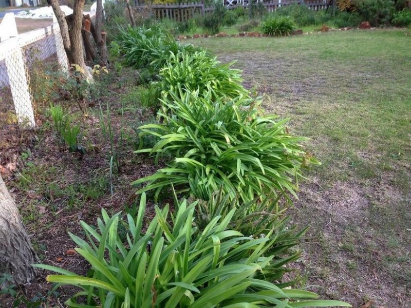 23 Grevillia Road, Dwellingup WA 6213