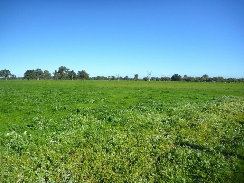 L 120/121 Collins Road, Blythewood WA 6208