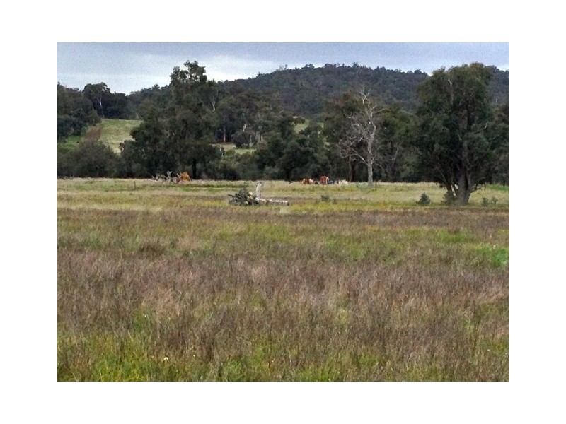 313 Fraser Road, Boddington WA 6390