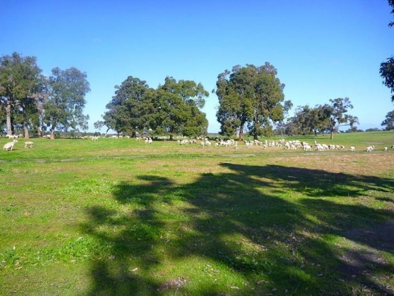 Lot 272 Mounsey Road, West Coolup WA 6214