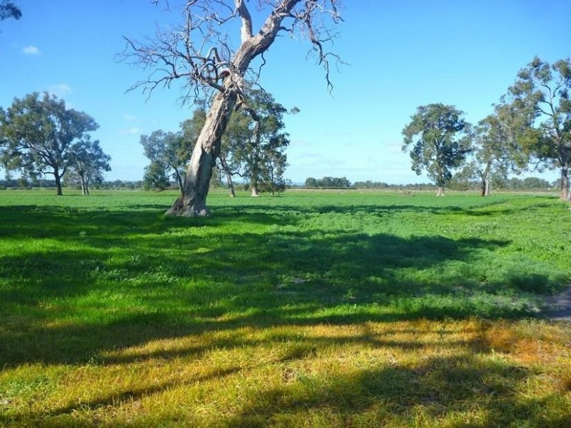 Lot 272 Mounsey Road, West Coolup WA 6214