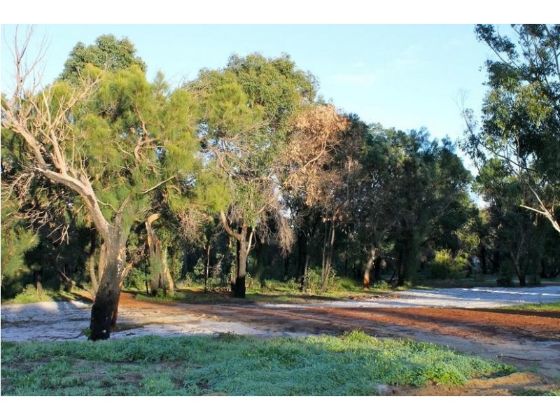 89 Thompson Crescent, Lake Clifton WA 6215