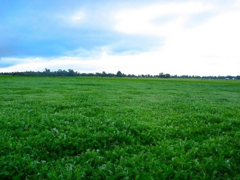 616 Old Bunbury Road, West Coolup WA 6214