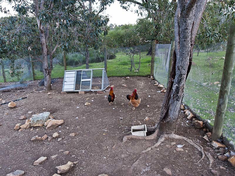 71 Ridgeview Drive, Meelon WA 6208