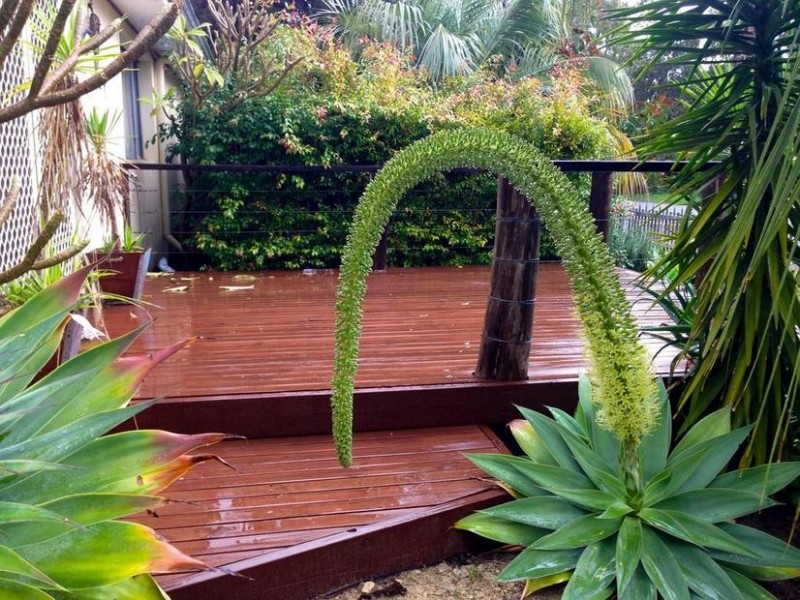 108 Fouracre Street, Waroona WA 6215