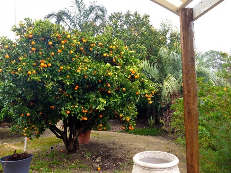 108 Fouracre Street, Waroona WA 6215