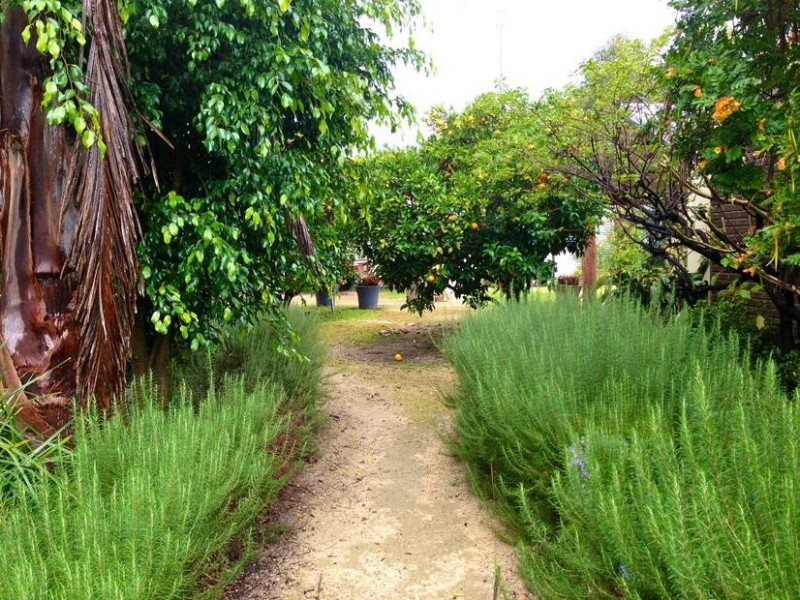 108 Fouracre Street, Waroona WA 6215