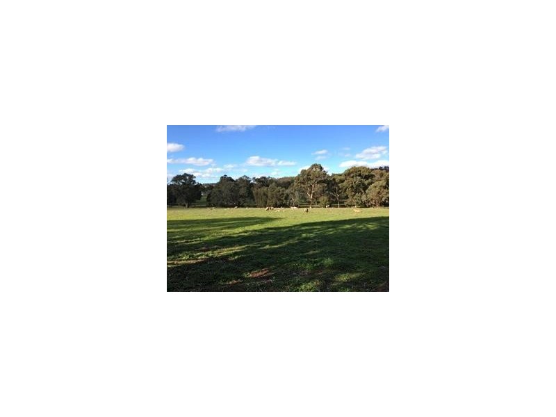 99 River Road, Boddington WA 6390