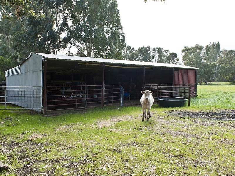 168 Deeble Road, Coolup WA 6214