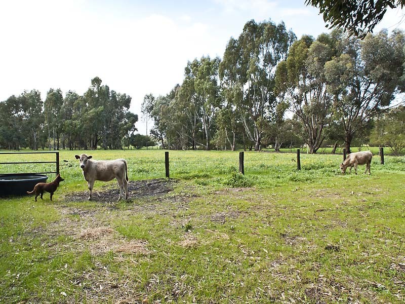 168 Deeble Road, Coolup WA 6214