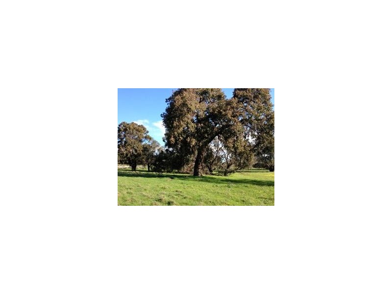 Lot 17 Kalimna Way, Boddington WA 6390