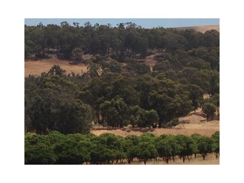 407 Morts Road, Boddington WA 6390