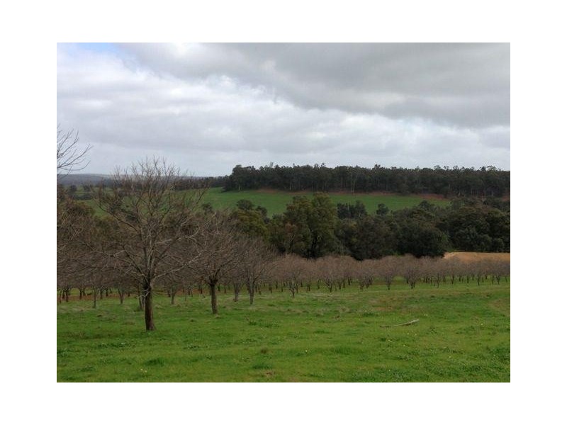 407 Morts Road, Boddington WA 6390