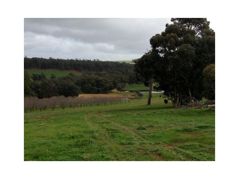 407 Morts Road, Boddington WA 6390