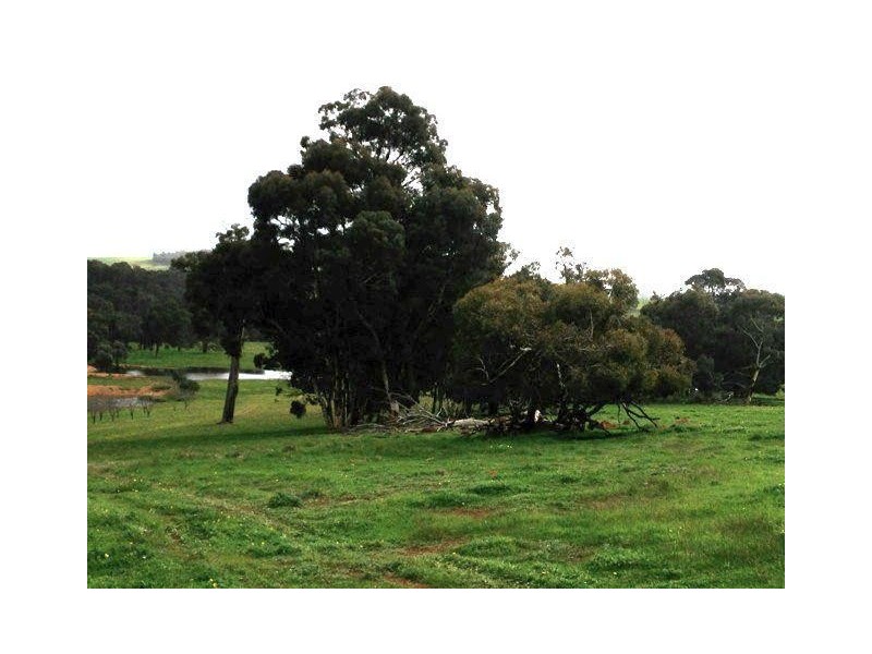 407 Morts Road, Boddington WA 6390