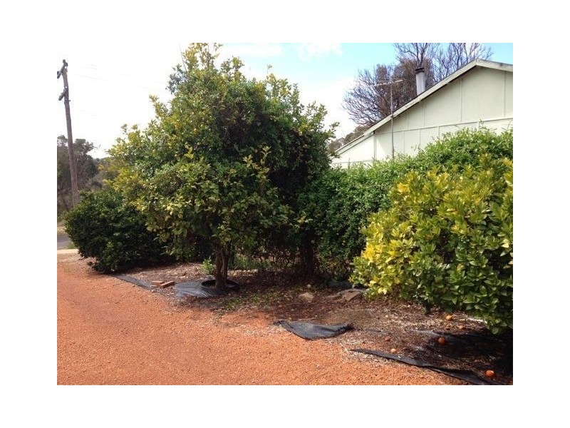 17 Crossman Road, Boddington WA 6390