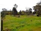 Lot 118 Riverside Drive, Furnissdale WA 6209