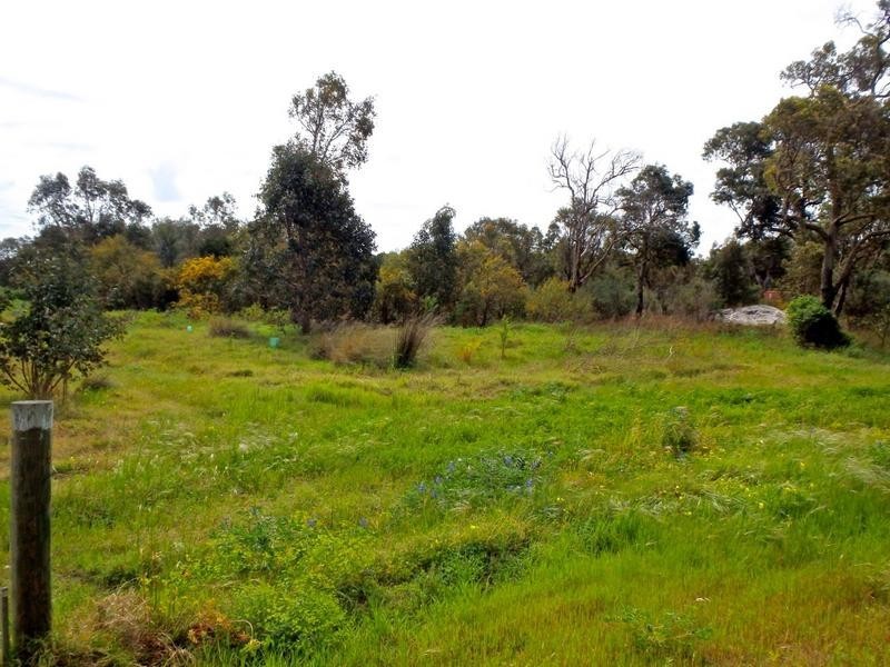 Lot 118 Riverside Drive, Furnissdale WA 6209