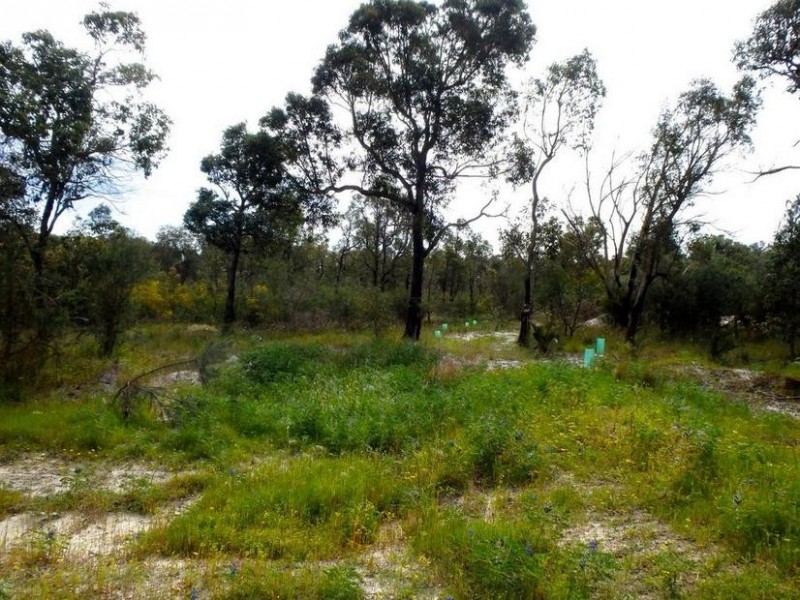 Lot 118 Riverside Drive, Furnissdale WA 6209