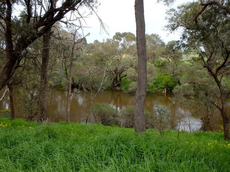 28 Salter Street, Pinjarra WA 6208