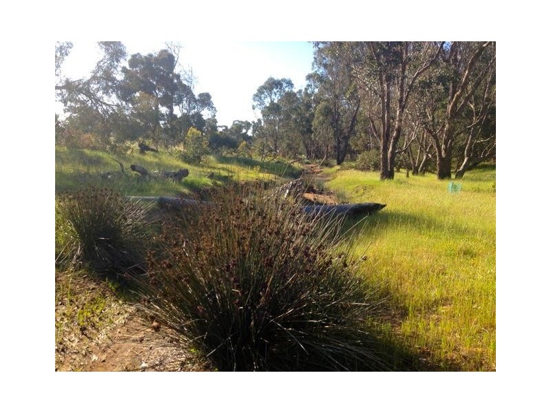 Lot 59 Sherry Close, Boddington WA 6390