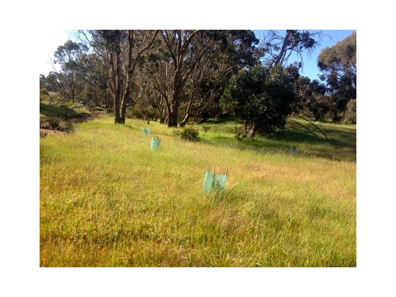 Lot 59 Sherry Close, Boddington WA 6390