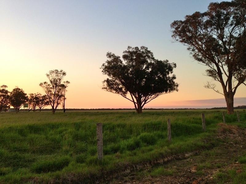 245 Reigerts Road, Yarloop WA 6218