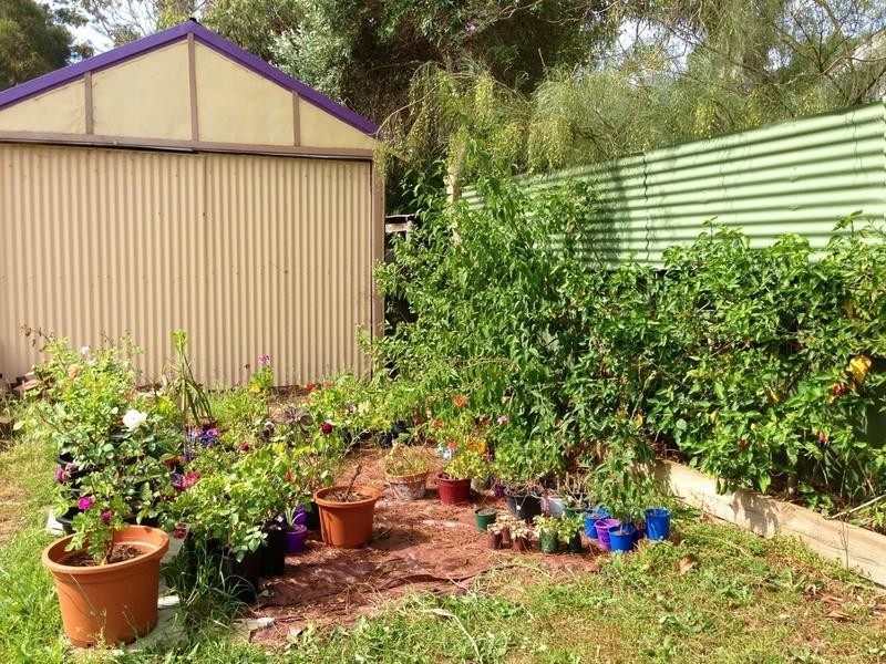 104 Fouracre Street, Waroona WA 6215